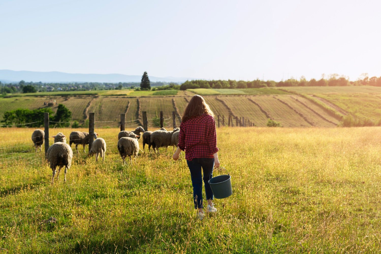 Health benefits of 100% grass-fed beef and lamb — Your Farmer paddock-to-plate, NSW & ACT delivery