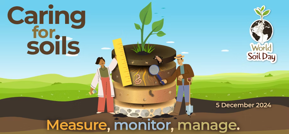 World Soil Day at Your Farmer — healthy soil underpins ecological farming, paddock-to-plate beef, lamb and produce