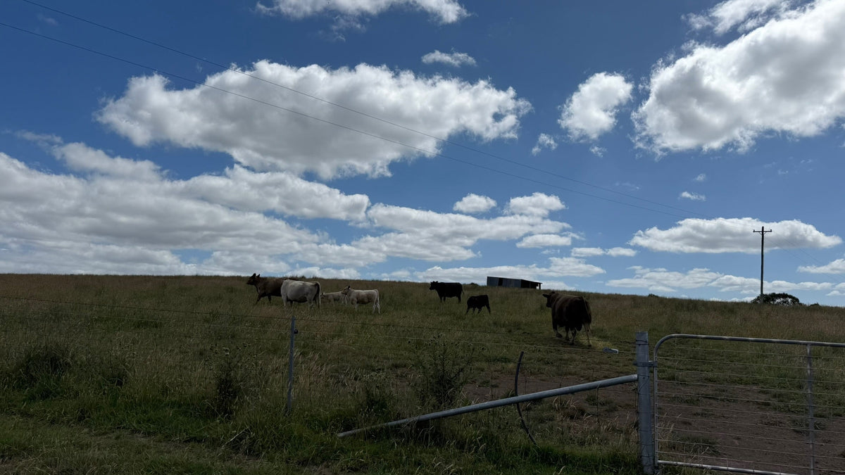 How Southern Highlands Climate Shapes the Flavour of Grass-Fed Beef