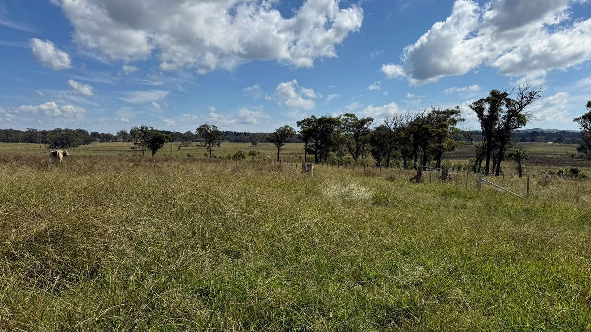 What Does Soil Health Have to Do with the Grass-Fed Beef on Your Plate?