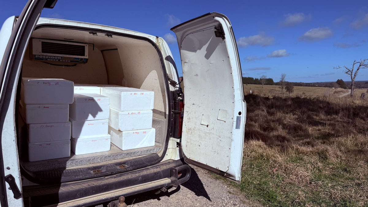 How Does Blast-Freeze Technology Keep Your Grass-Fed Beef Delivery Fresher Than the Butcher?