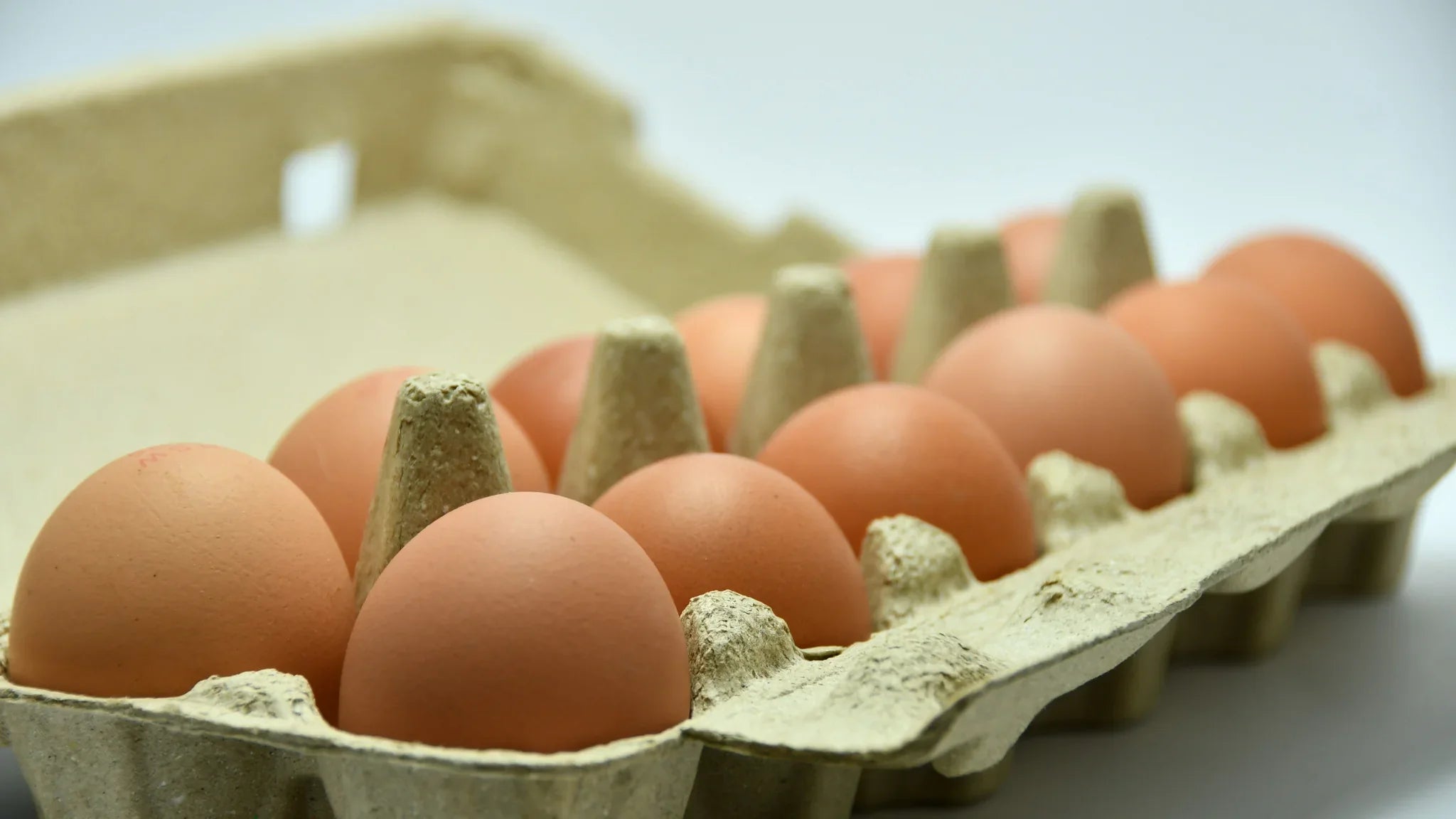 Pastured Chicken and Eggs