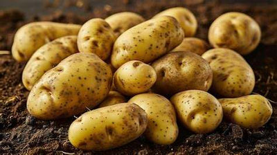Seasonal regenerative potatoes from Your Farmer — chemical-free, eco-grown on NSW partner farms, paddock-to-plate produce delivery