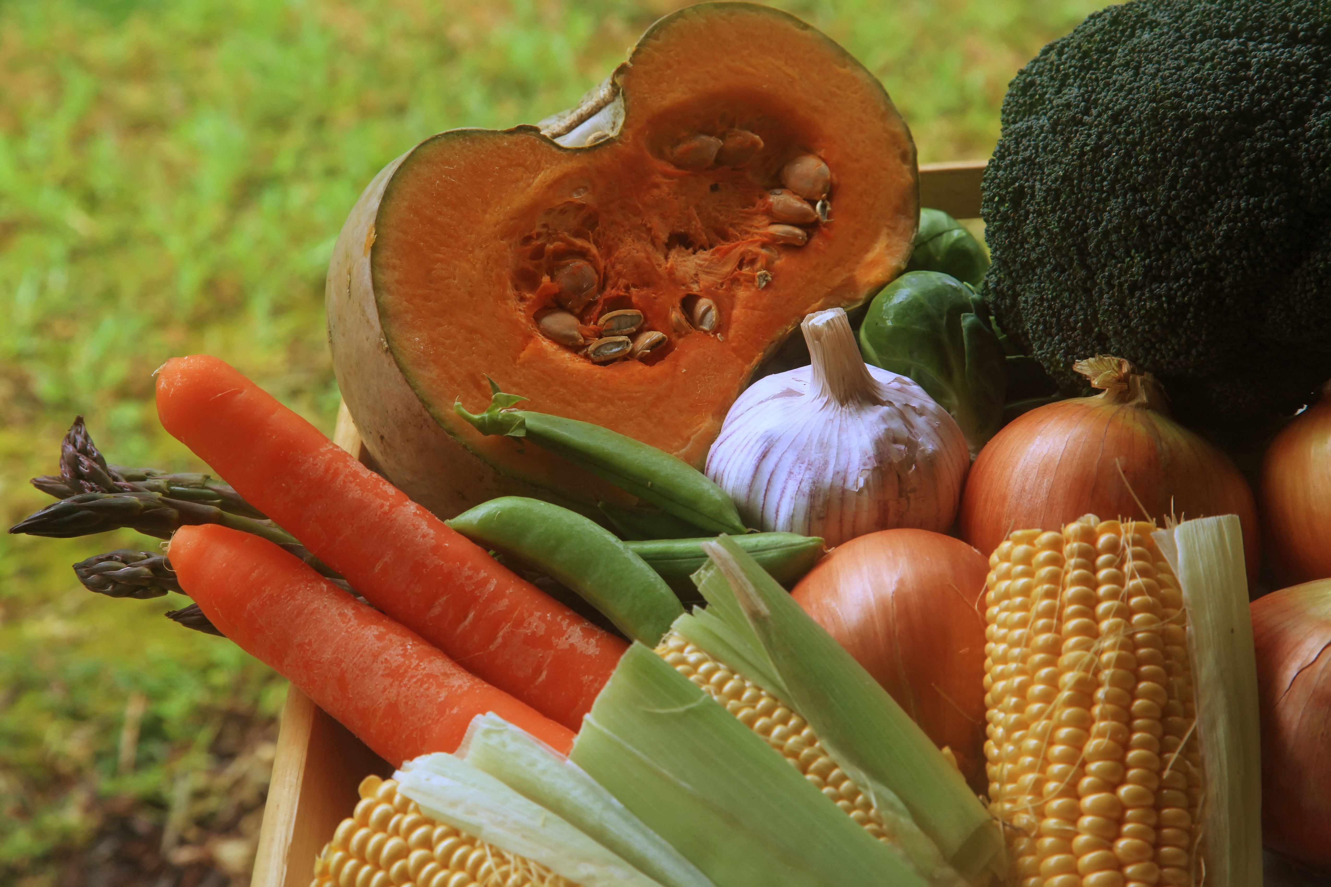Eco-grown fruit and vegetables — Your Farmer paddock-to-plate produce delivery, NSW & ACT