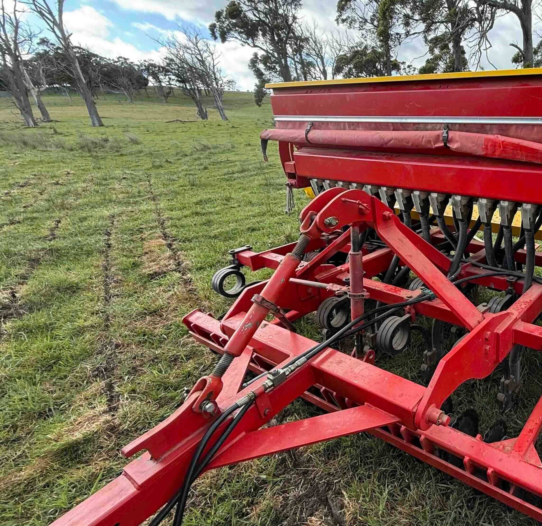 Pasture cropping in action on a Your Farmer partner farm — integrated regenerative agriculture growing grain in living pasture
