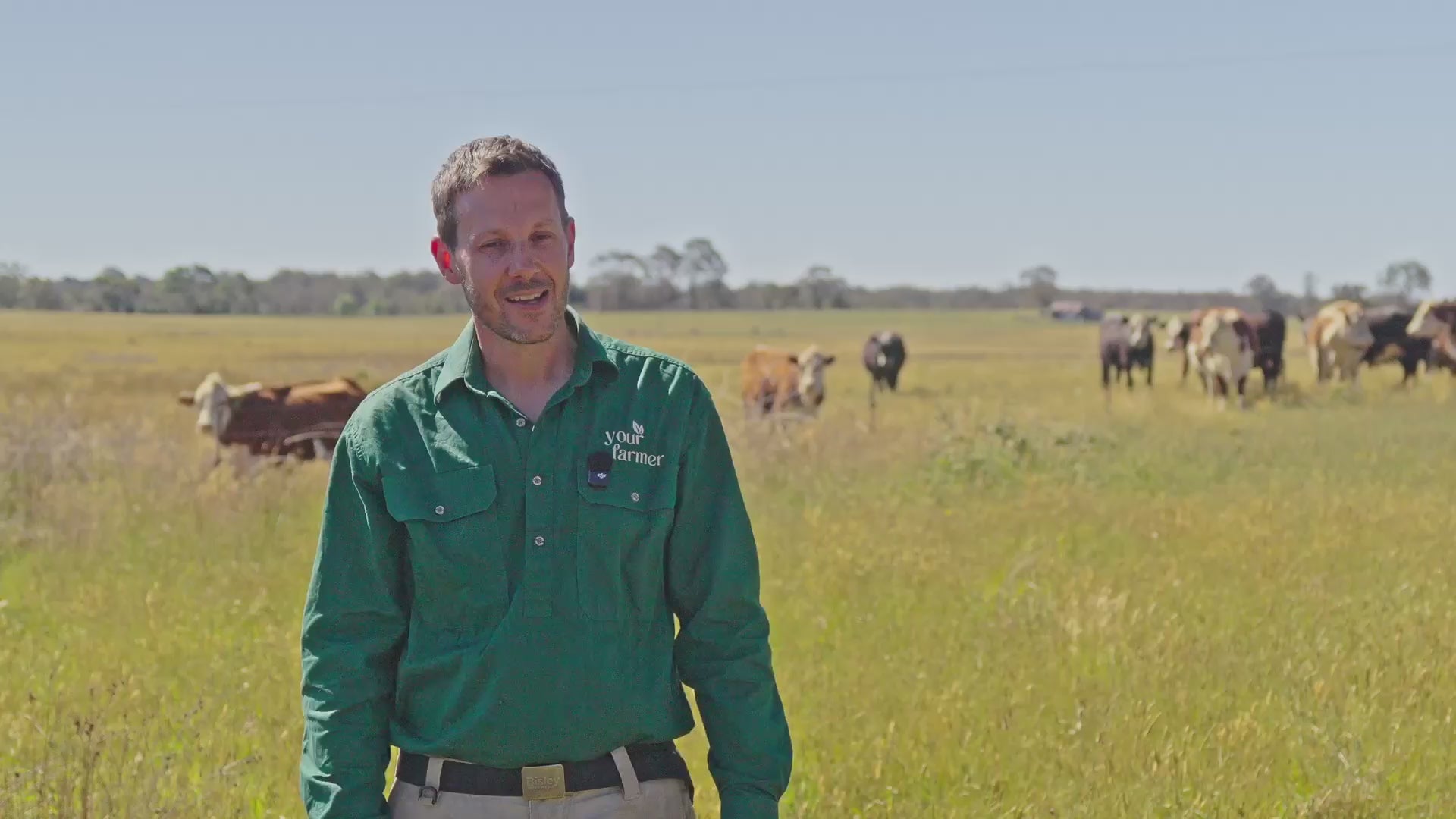 Load video: David Savill on how nutrient-dense food is built from sun to soil to plate — Your Farmer's ecological food chain