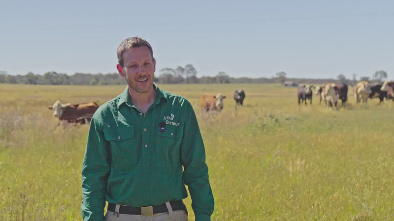David Savill on how nutrient-dense food is built from sun to soil to plate — Your Farmer's ecological food chain