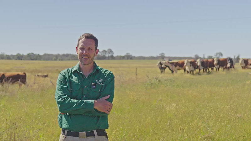 David Savill on the farmer-customer win-win — Your Farmer's direct-to-consumer model rewards loyalty and ecological farming